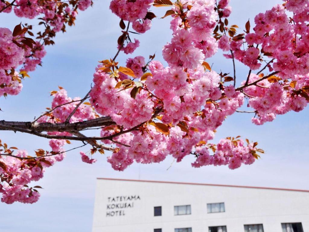 Tateyama Kokusai Hotel Тояма Екстер'єр фото