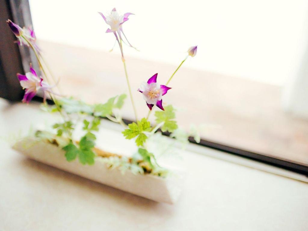 Tateyama Kokusai Hotel Тояма Екстер'єр фото