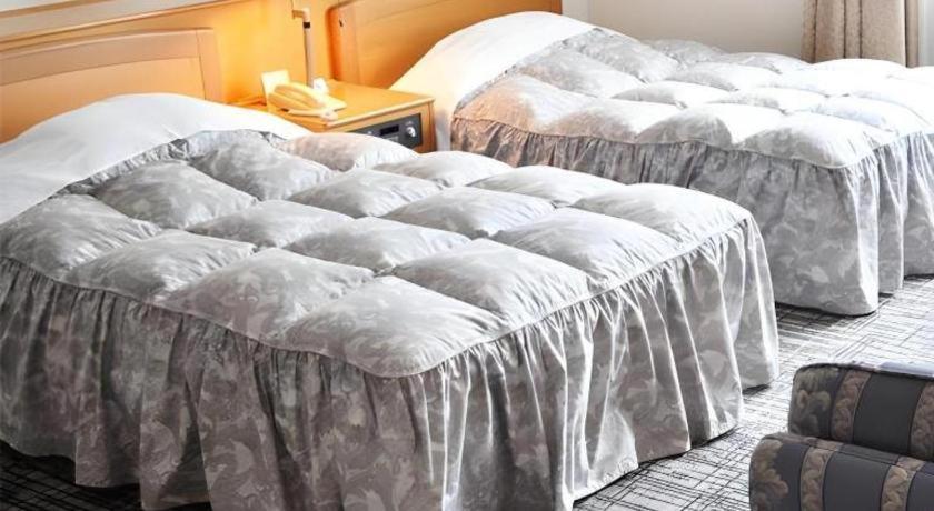 Tateyama Kokusai Hotel Тояма Екстер'єр фото
